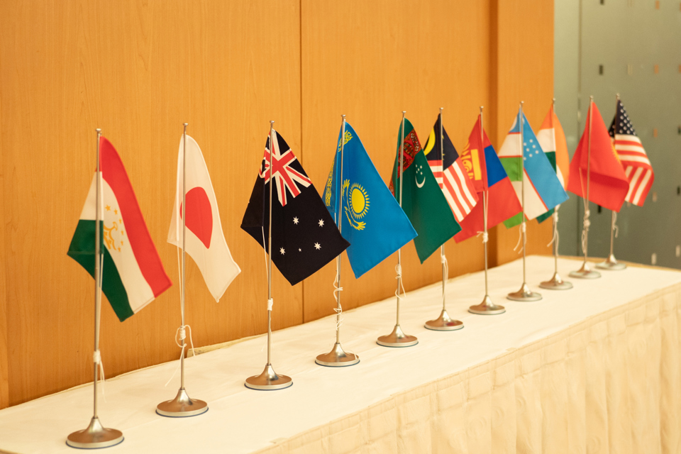 “Hybrid Approaches to Standards for BTR Development”