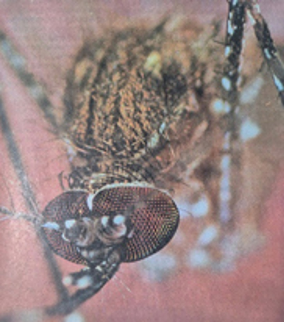 УСНЫ НУУЦЛАГ ЕРТӨНЦӨӨР АЯЛАХУЙ ЦУВРАЛ - 2