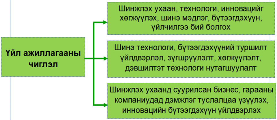 Үйл ажиллагааны үндсэн чиглэл
