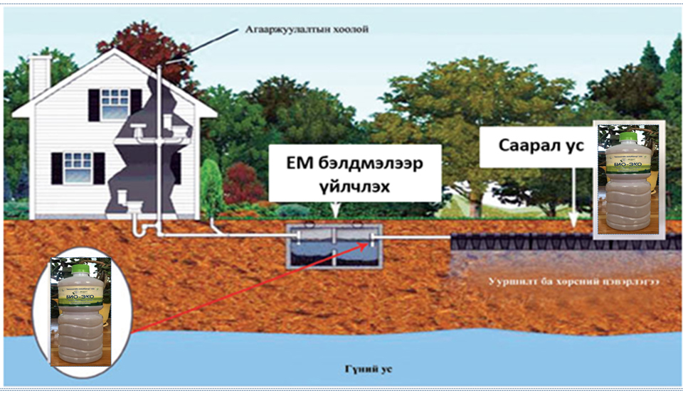 Ашигтай бичил биетний технологийн тухай