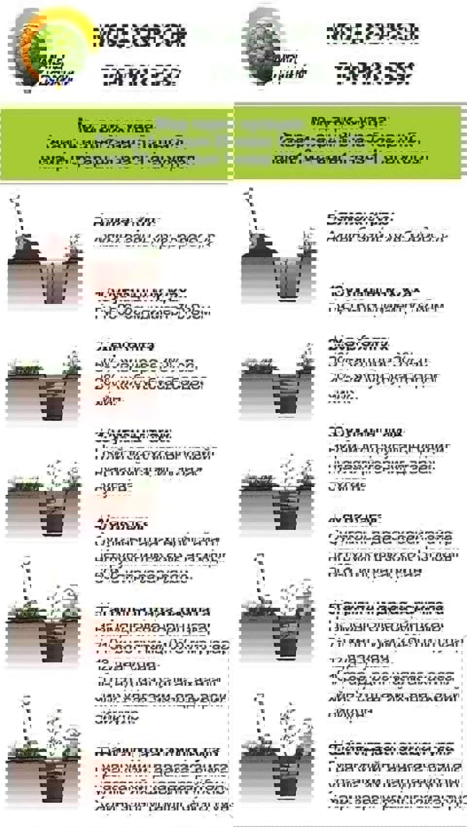 МОД ХЭРХЭН ТАРИХ ВЭ?