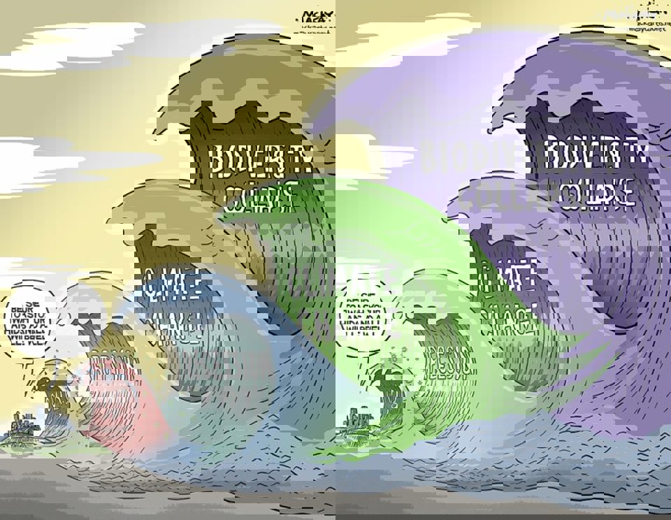 Дэлхийн дулаарлыг сааруулахад хѳрсний бичил биетнүүд тусалж чадах уу?