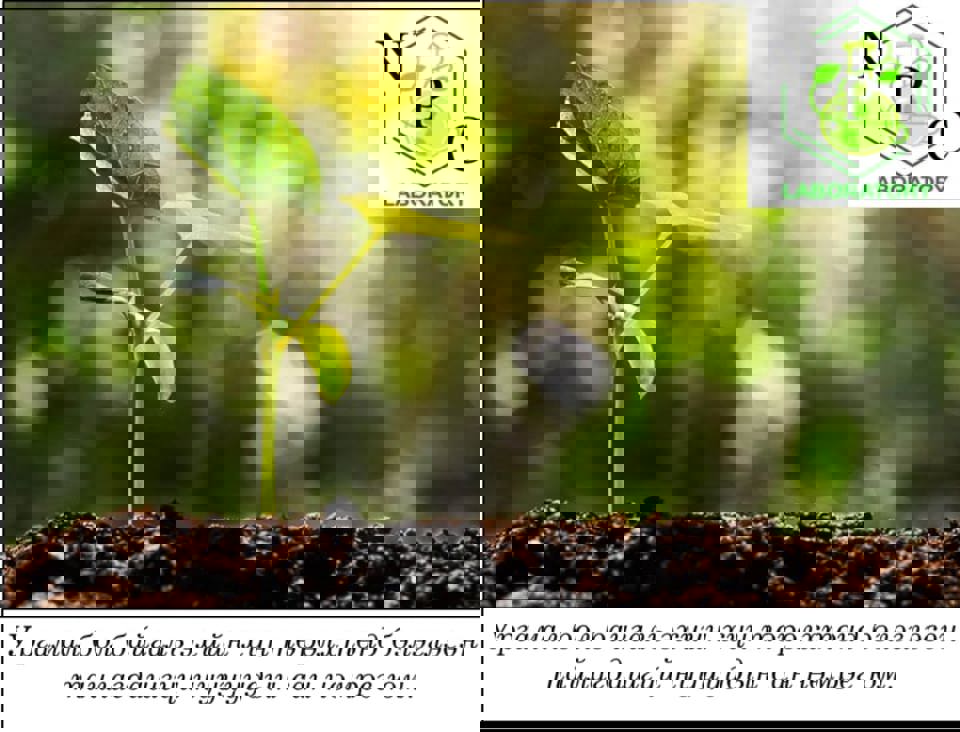 ICCT podcast episode 2