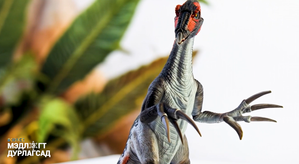 Мэдлэгт дурлагсад