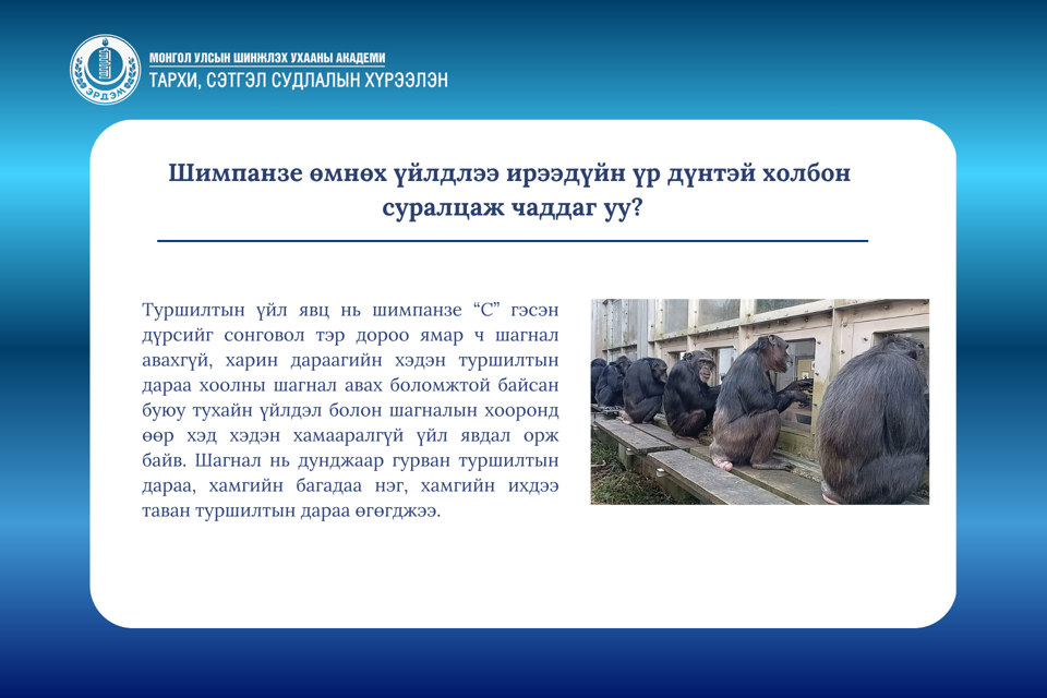 Шимпанзе өмнөх үйлдлээ ирээдүйн үр дүнтэй холбон суралцаж чаддаг уу?